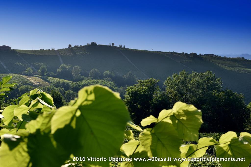 Willa Azienda Agricola Simone Cerruti - Moscateria Castiglione Tinella Zewnętrze zdjęcie