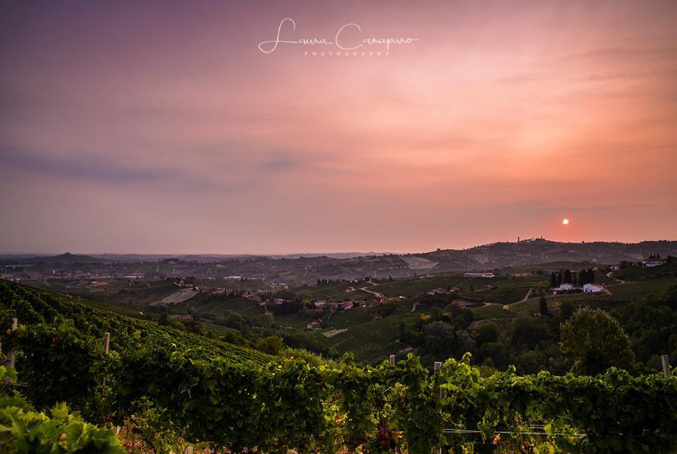 Willa Azienda Agricola Simone Cerruti - Moscateria Castiglione Tinella Zewnętrze zdjęcie