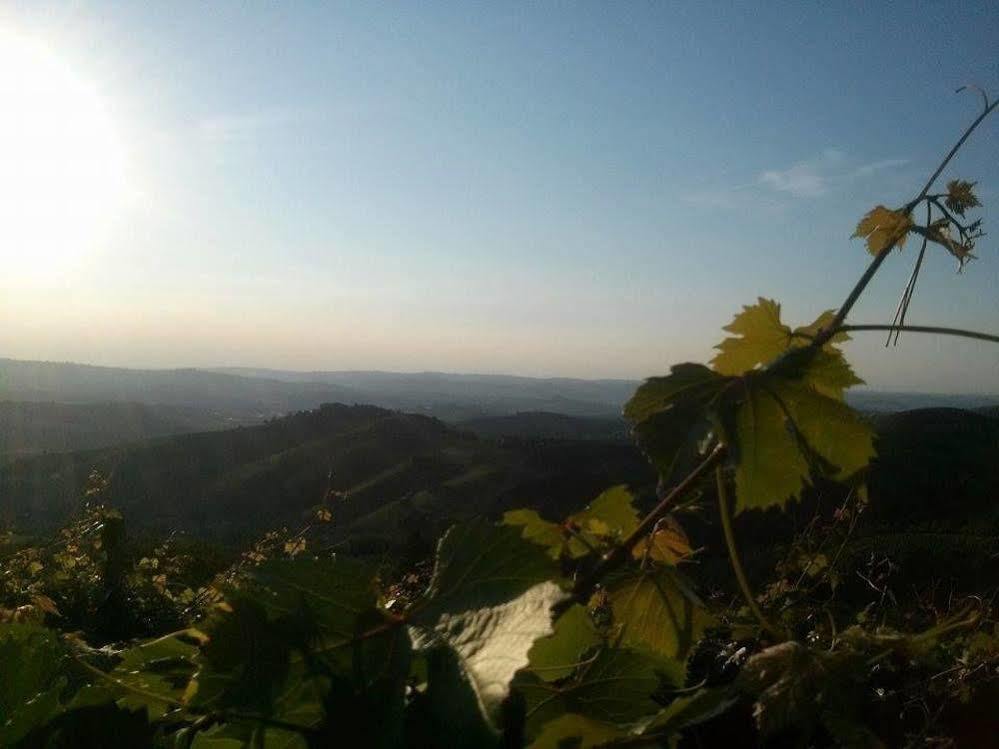 Willa Azienda Agricola Simone Cerruti - Moscateria Castiglione Tinella Zewnętrze zdjęcie